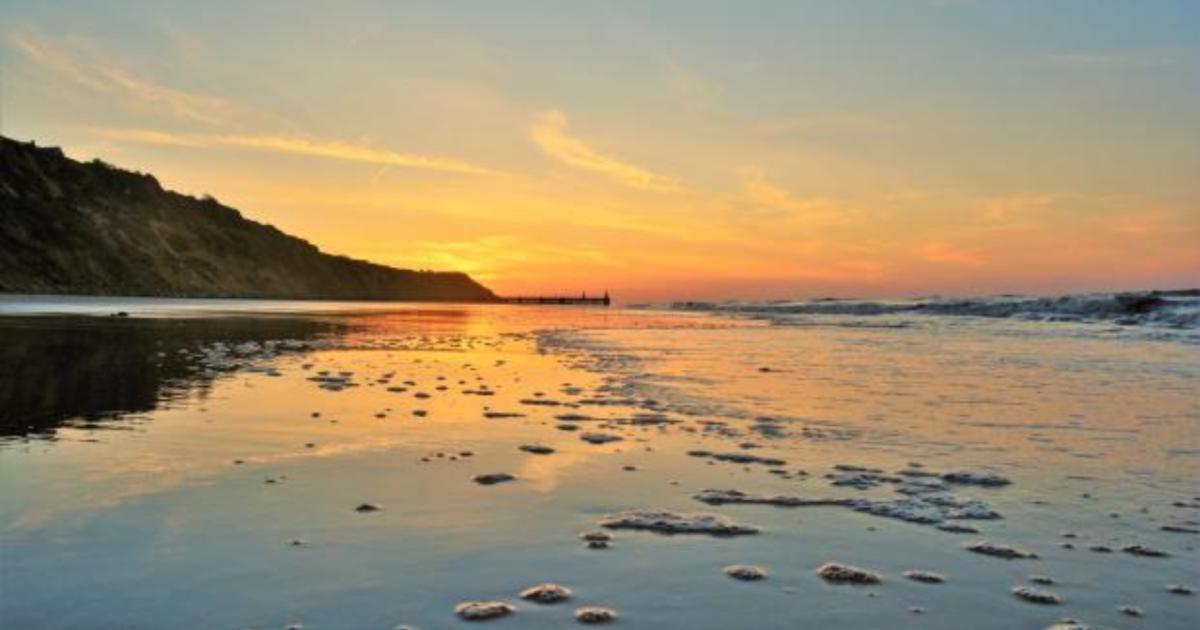 Two dead whales removed between Mundesley and Trimingham