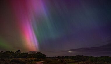 Kelling Heath Holiday Park to host Wild Sky Weekend