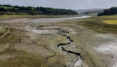 Somerset hosepipe ban could be extended if action not taken