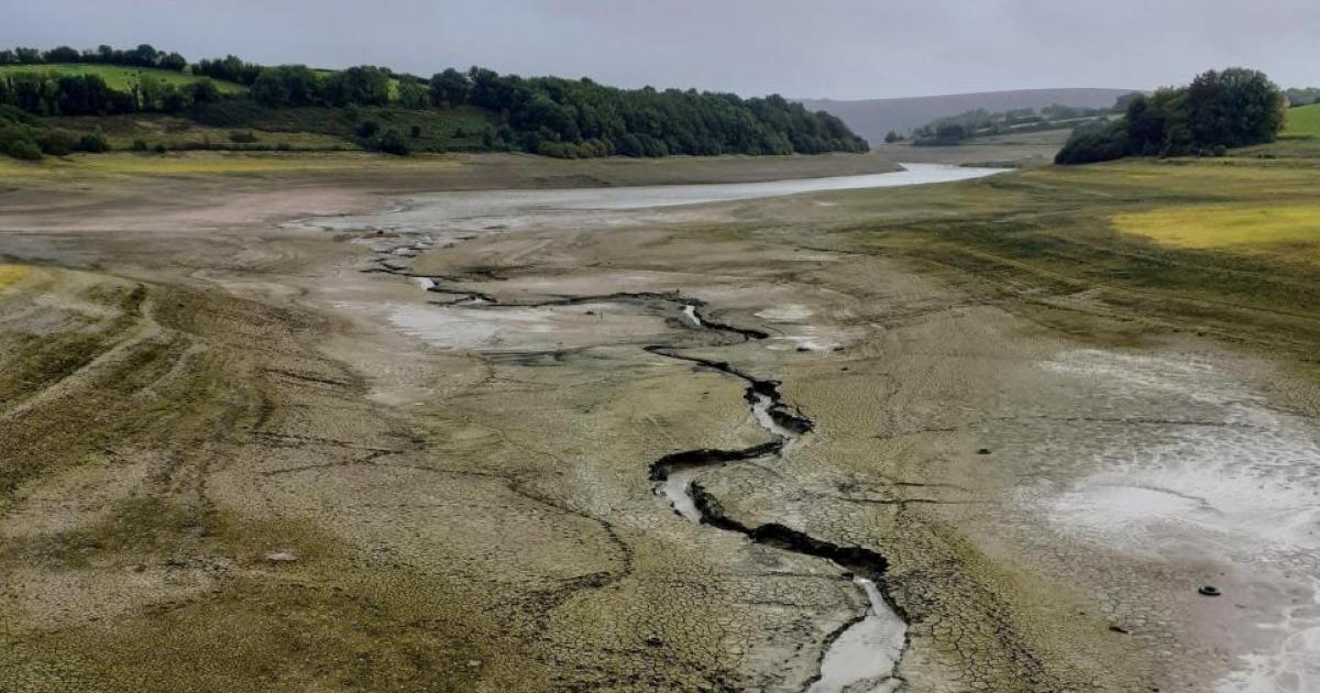 Somerset hosepipe ban could be extended if action not taken