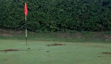 Drought leads badgers to rip up Clare Park Lake Golf Course