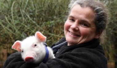 Woman who used to run Norfolk sanctuary due up in court
