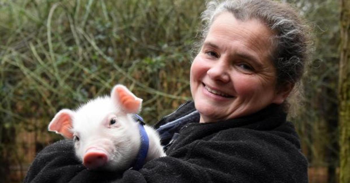 Woman who used to run Norfolk sanctuary due up in court
