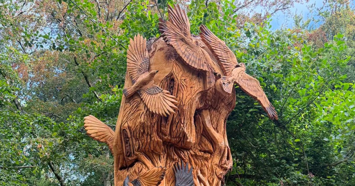 New sculptures celebrating nature in Porthkerry Country Park