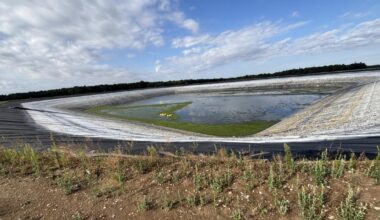 Environment Agency says rain not enough to end drought in Norfolk