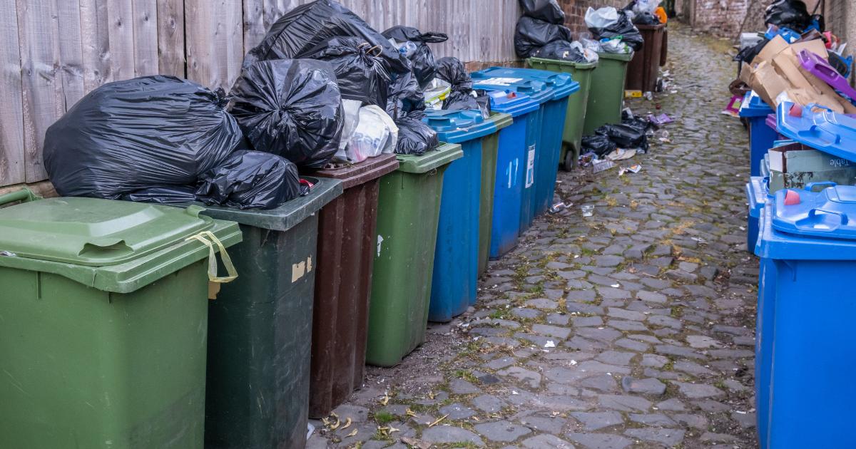 One thing you need to do before putting containers in the bin