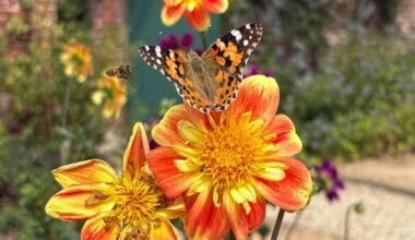 The Reading Camera Club show us their best pictures