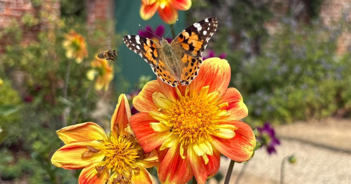 The Reading Camera Club show us their best pictures