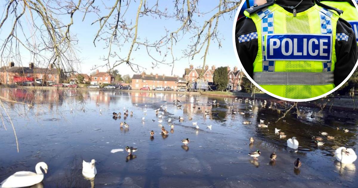 Young males ‘target ducks’ with catapult in Devizes