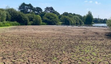 Hatfield Forest completely dried out after drought stress