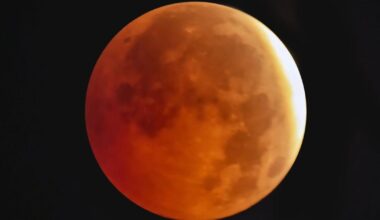 Blood moon eclipse seen across Suffolk in amazing photos