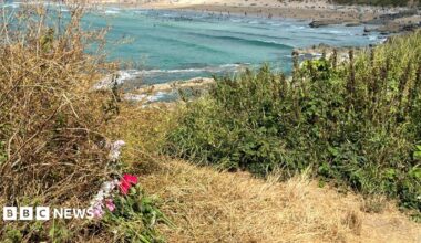 Flowers left on a cliff overlooking a beach