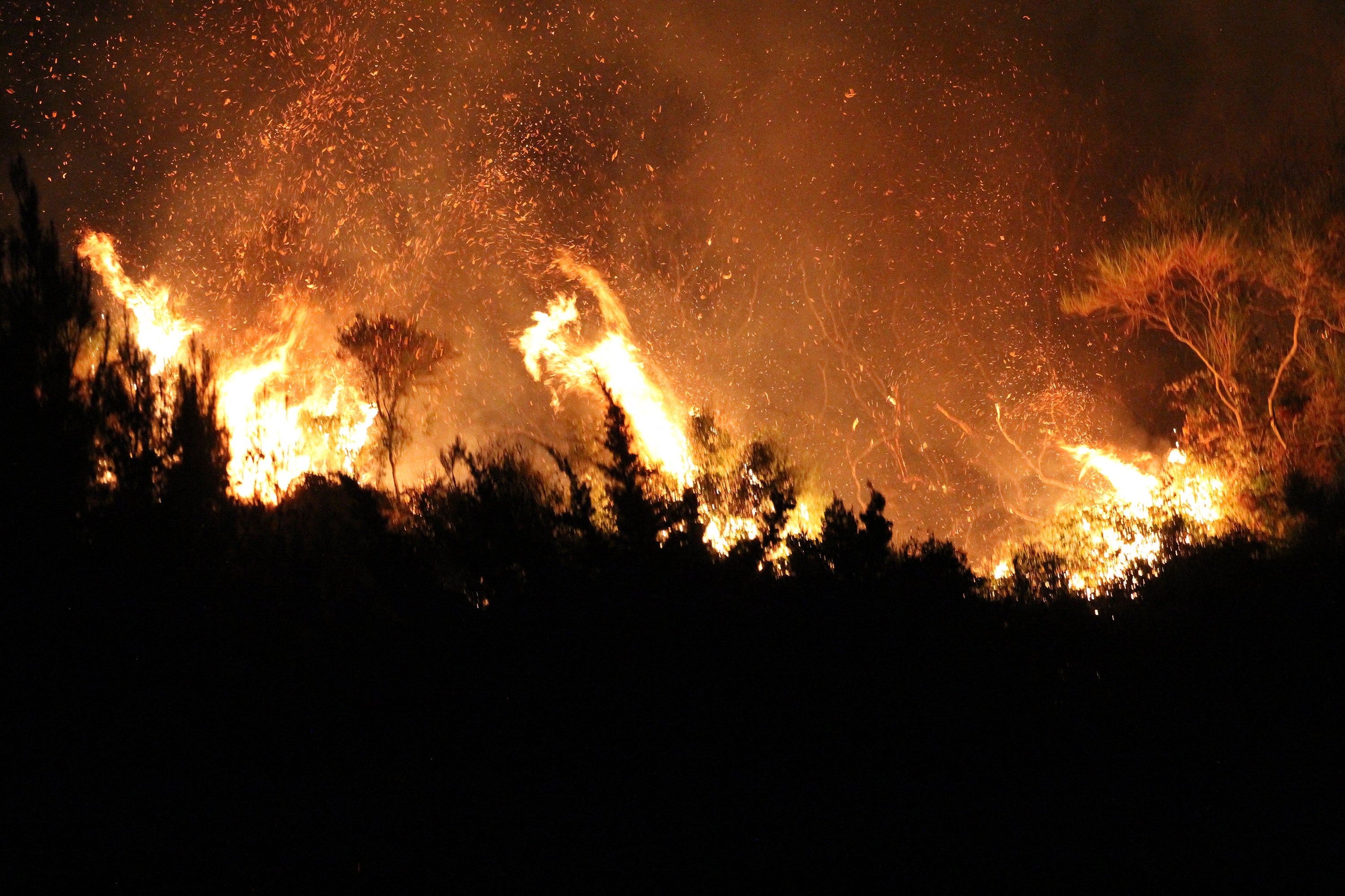 Wildfire burning trees and grass in Sagana in the territory of Monreale, in Sicily on Wednesday