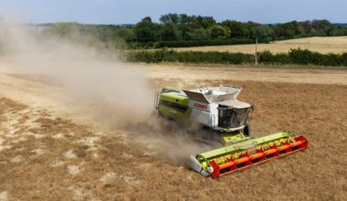 Farmers at ‘breaking point’ as heatwave Britain puts crops, livestock and livelihoods under threat