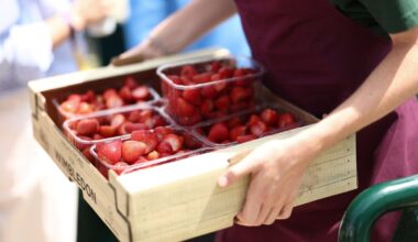 Record-breaking heatwaves lead to bumper berry crops after summer of wildfires and water shortages