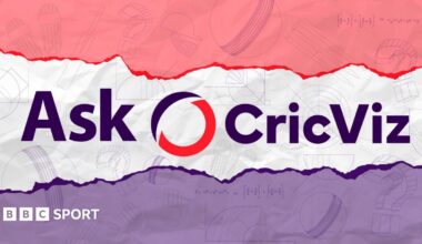 Ask CricViz graphic