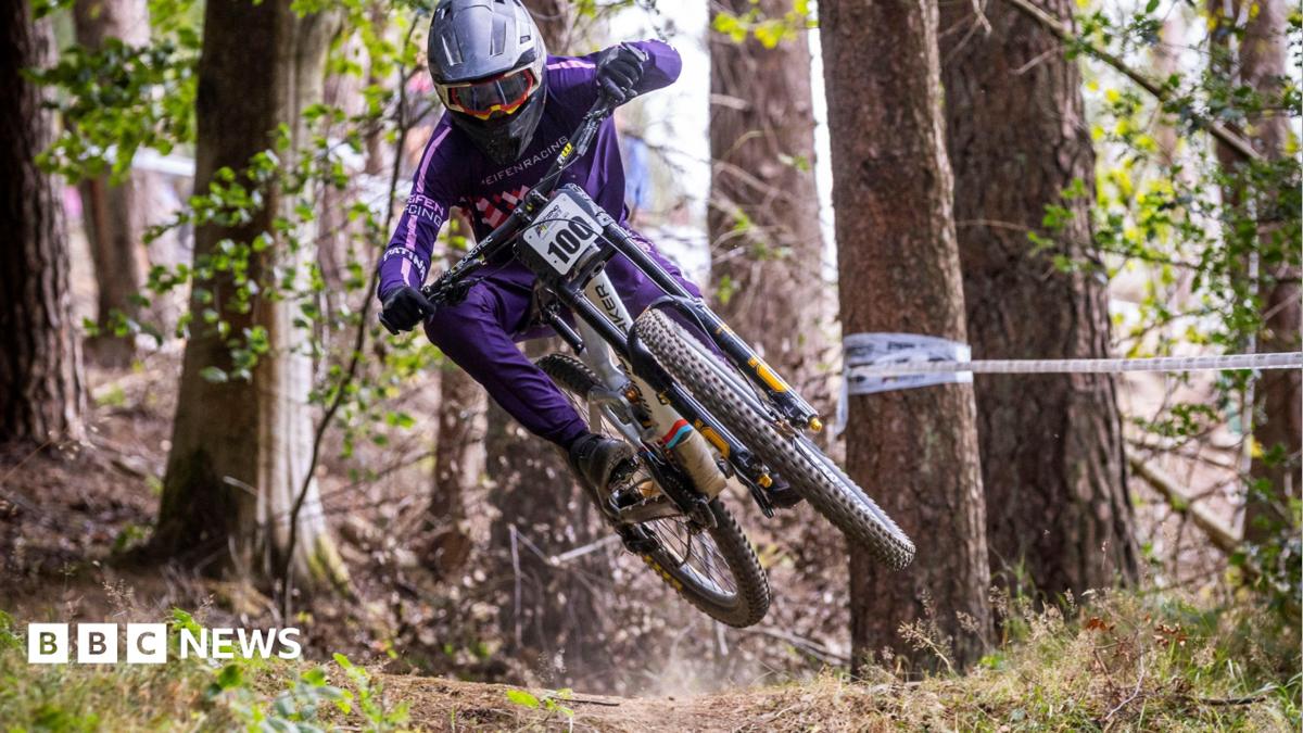 A person is mid-air as they ride their bike through the forest. They are wearing a purple outfit, plus a grey helmet and dark sunglasses. There are tall trees in the background. One on the right has white tape wrapped around it.