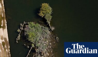 ‘Forever chemicals’ surge during pilot of Thames Water plan to combat drought | Water