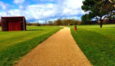 New Research Explores Varieties of Purpose and Happiness