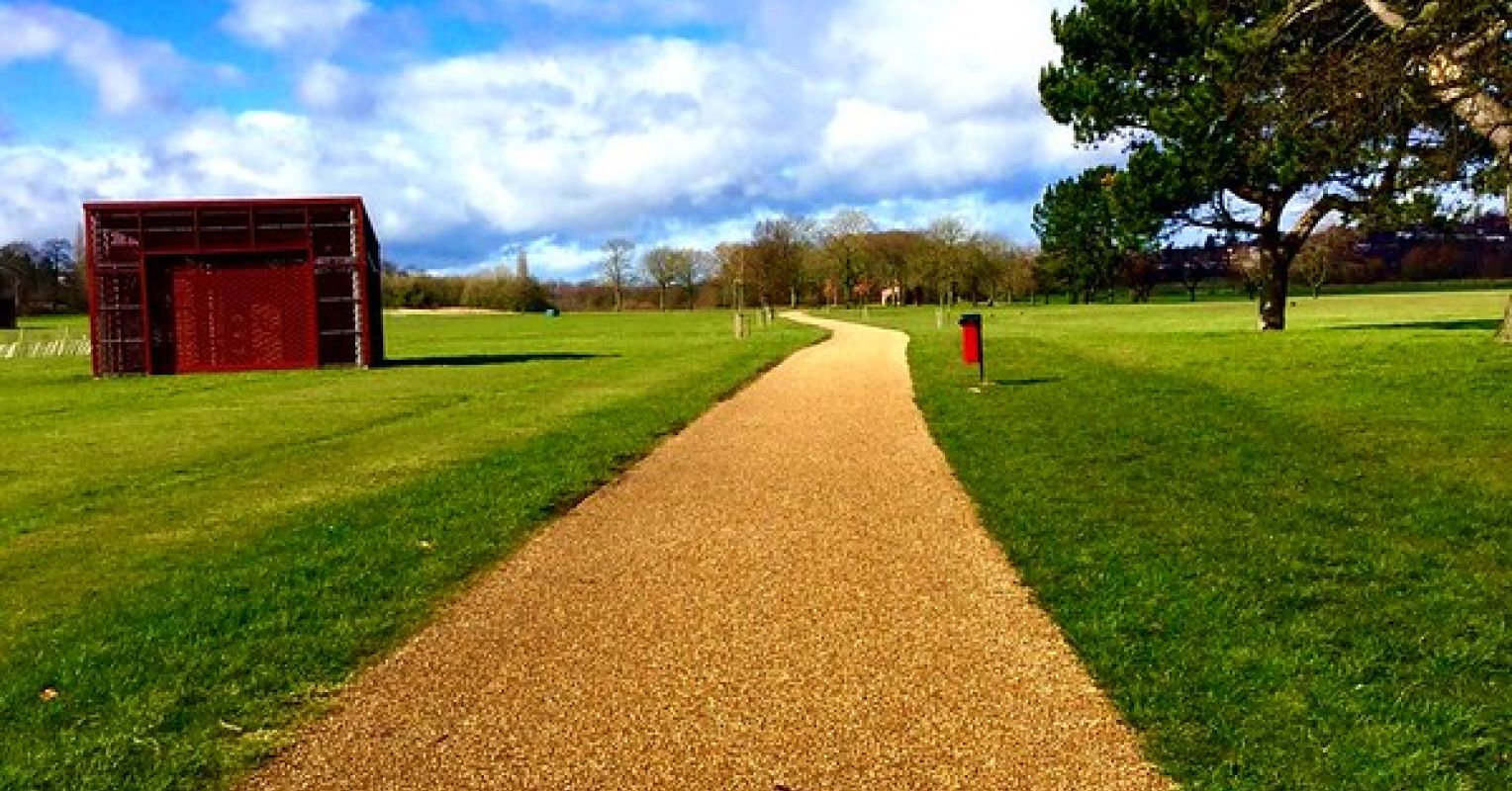 New Research Explores Varieties of Purpose and Happiness