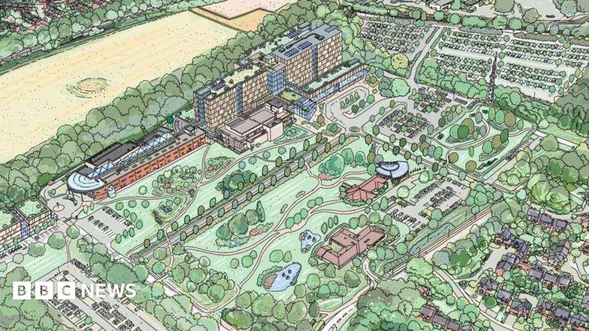 An artist's impression of how the new hospital will look. It is a drawing showing various buildings and a lot of open green space