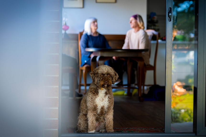 A dog and two people.