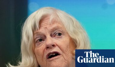 Ann Widdecombe police investigate whether accused had role in Farage incident | UK news
