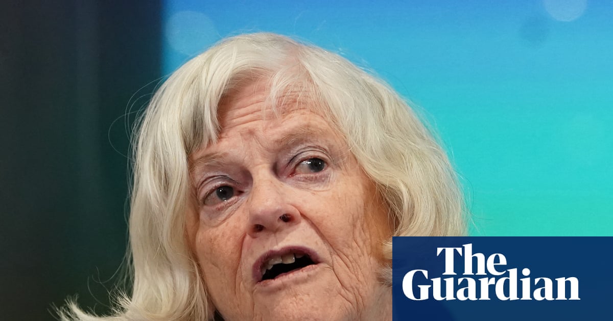 Ann Widdecombe police investigate whether accused had role in Farage incident | UK news