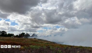 A wide view of smoke drifting across heathland, with fire engines visible in the distance beneath a cloudy sky.