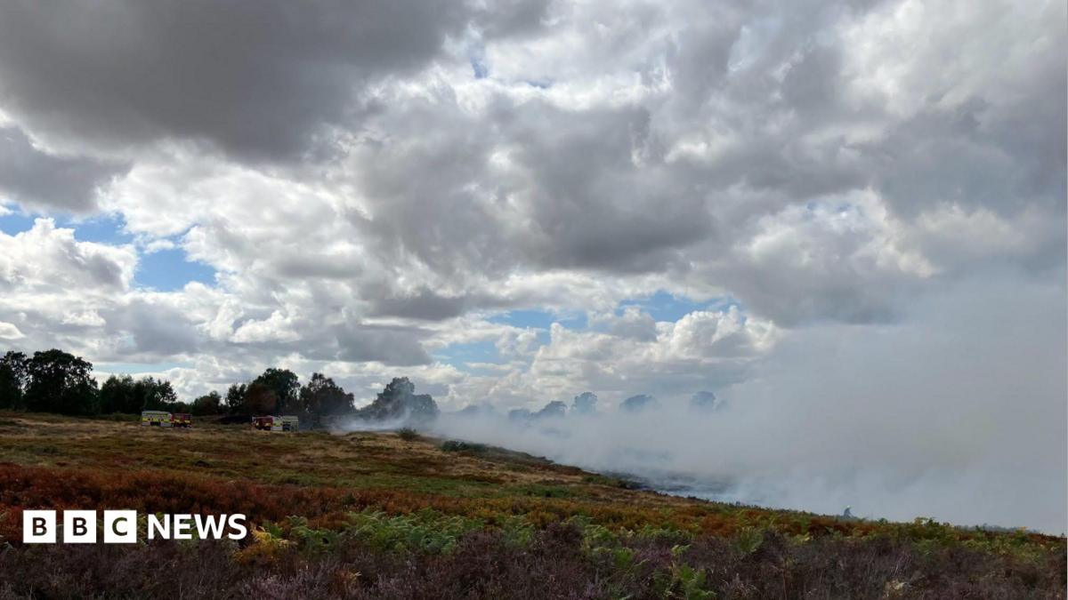 A wide view of smoke drifting across heathland, with fire engines visible in the distance beneath a cloudy sky.