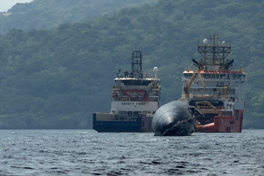 A ship on waters next to suspected space junk.