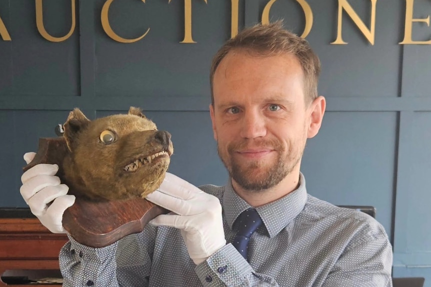 A man in white gloves and a button-up shirt and tie holding a taxidermied animal head.