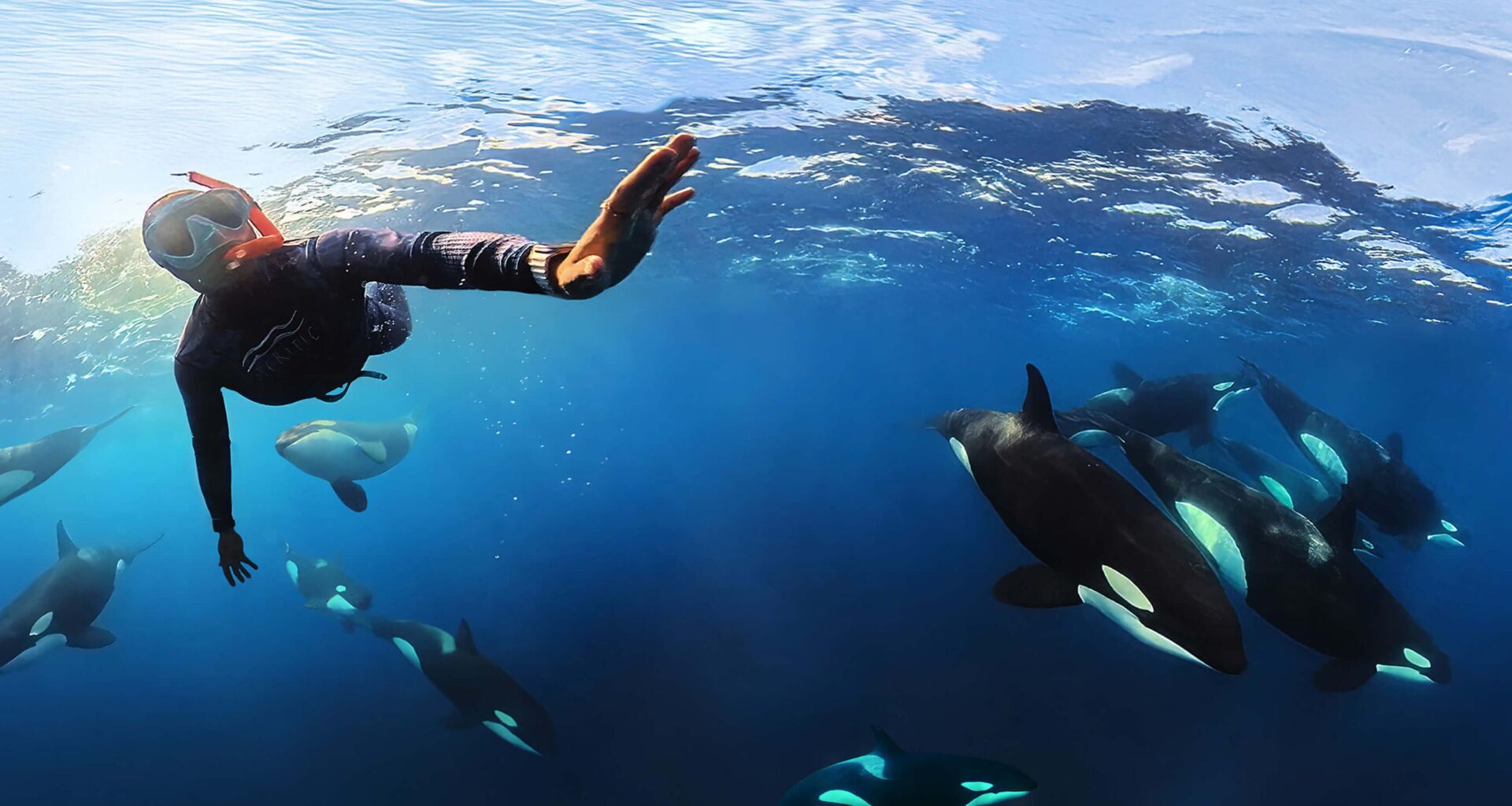 Dive first, shoot second: Underwater photography lessons from two commended filmmakers