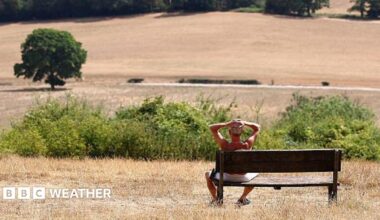 A man with his hands on his head sits on a bench and looks out at a parched field, with a tree in the middle distance