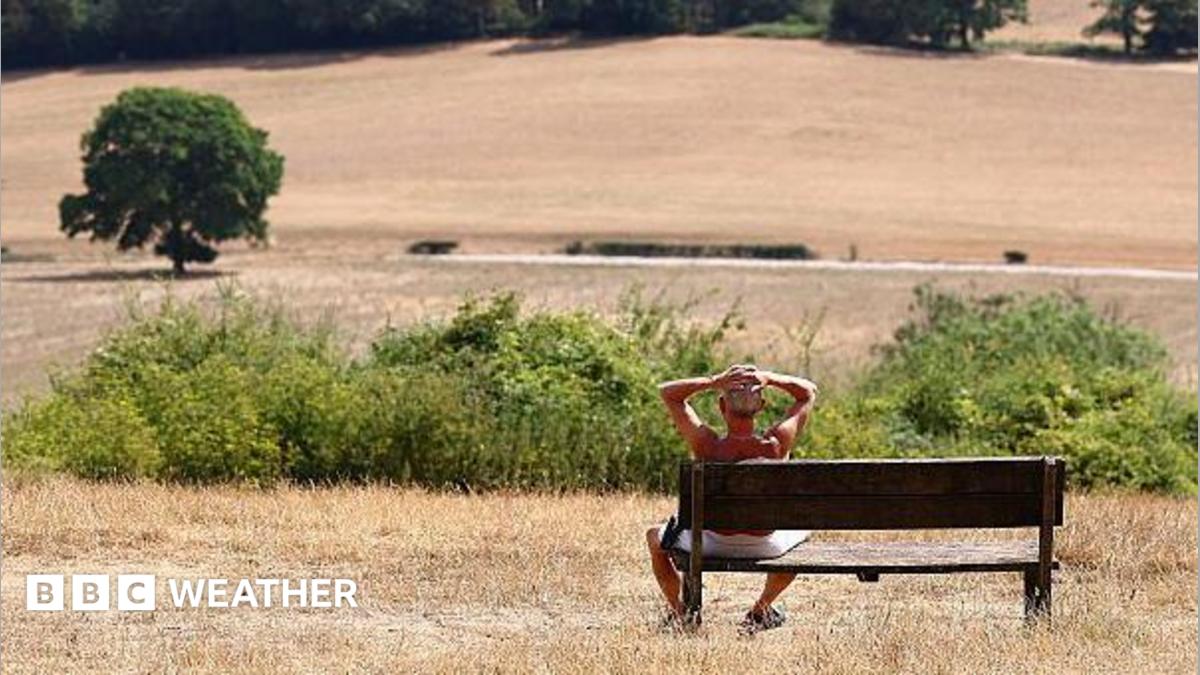 A man with his hands on his head sits on a bench and looks out at a parched field, with a tree in the middle distance