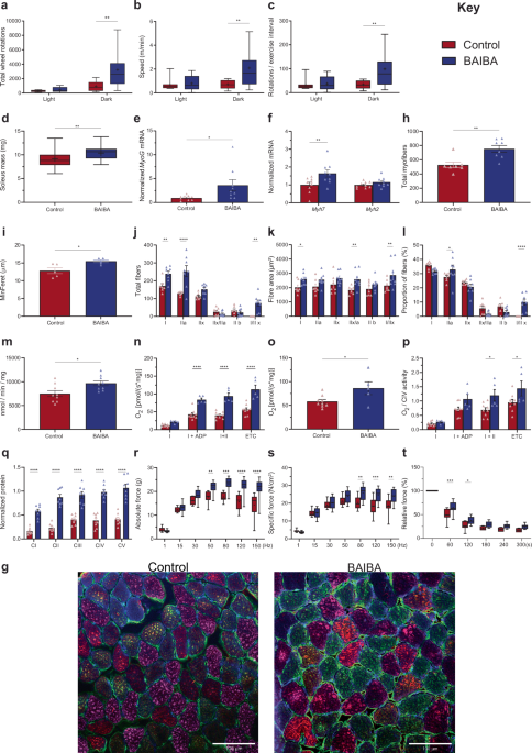 The metabokine β-aminoisobutyric acid mediates exercise performance and skeletal muscle adaptation through a PGC1α-BAIBA-PPARδ axis