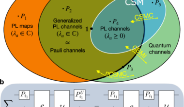 Non-Markovianity induced by Pauli twirling