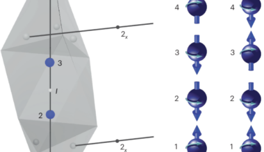 From equilibrium to ultrafast antiferromagnetism