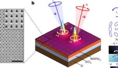 Topology-guided vortices in a polariton condensate