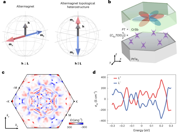 Electrical manipulation and detection of perpendicular altermagnetic order via a proximitized Dirac semimetal
