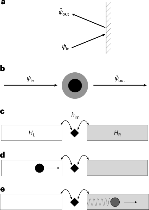 Perfect particle transmission through duality defects