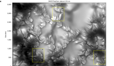 Ubiquitous Kelvin–Helmholtz instabilities driving plasma mixing on the Sun