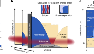 Pseudogap in a Fermi–Hubbard quantum simulator