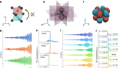 3D bulk-resolved g-wave altermagnetic order parameter in CrSb