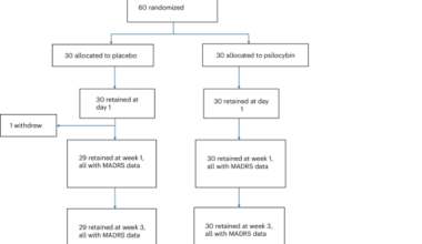 Psilocybin-assisted therapy for treatment-resistant major depressive disorder in a public healthcare setting: a randomized controlled trial