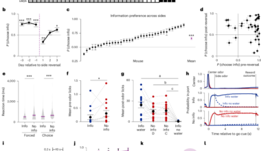 Representations of the intrinsic value of information in mouse orbitofrontal cortex