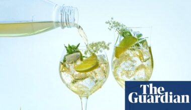Bar fight: Hugo cocktail takes aim at Aperol in UK summer of spritz | Food & drink industry