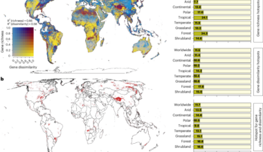 A global atlas of soil microbial genetic resources exposes protection shortfalls
