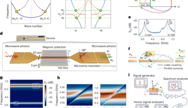 A room-temperature cavity–magnonic source of correlated microwave magnon polariton pairs