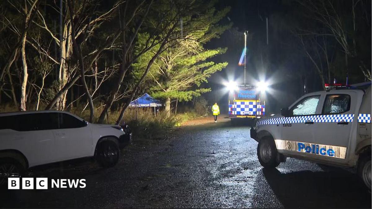 A night scene on a country road with several police cars and a small blue tent roof behind some trees.